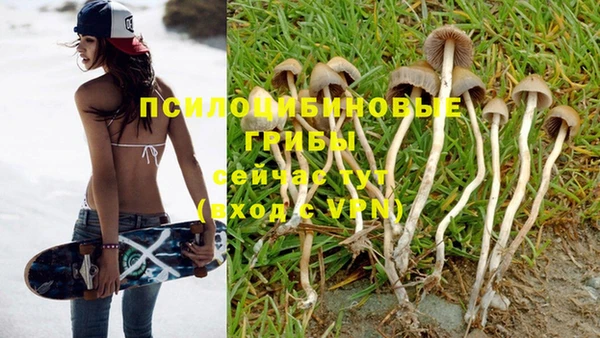 таблы Бронницы