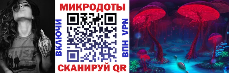 blacksprut Баксан Псилоцибиновые грибы GOLDEN TEACHER дарнет шоп